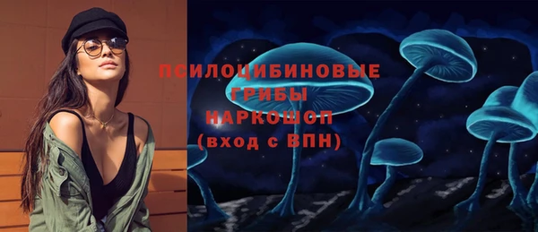 МДПВ Алексин