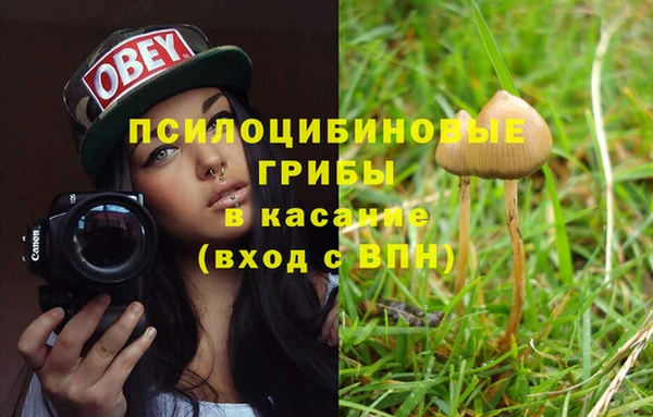 МДПВ Алексин