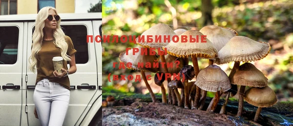 МДПВ Алексин