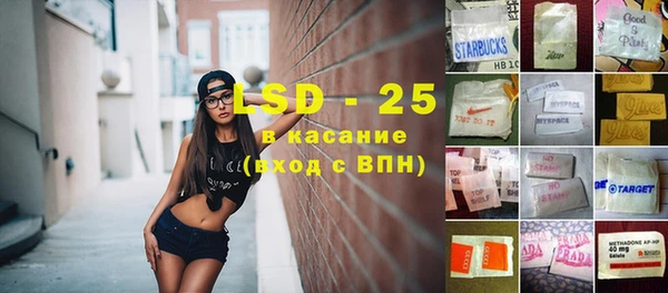 сатива Алзамай