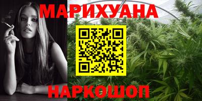 крисы Ливны