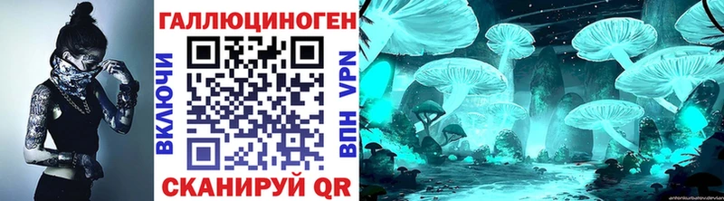 Псилоцибиновые грибы Psilocybe наркотики сайты даркнета какой сайт Полевской