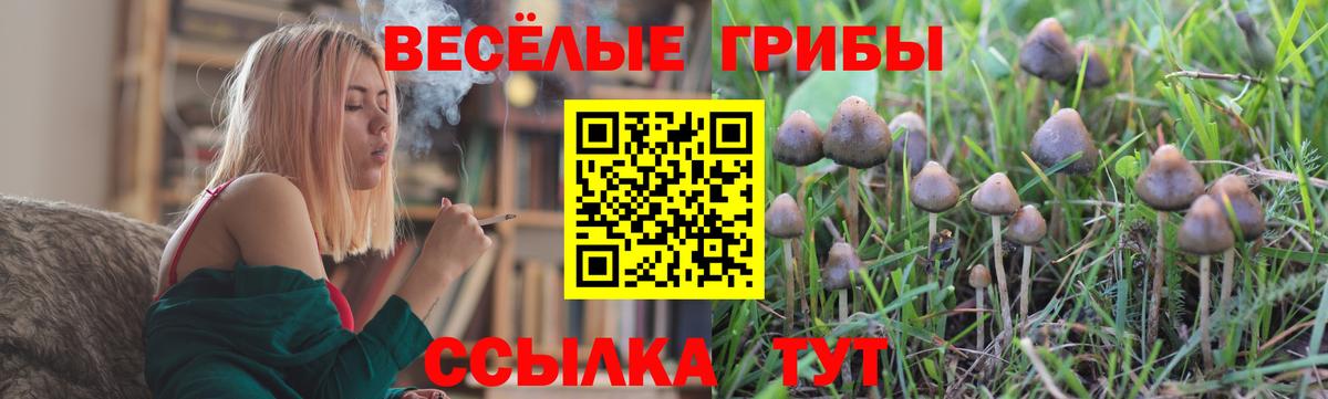 Полевской  Псилоцибиновые грибы прущие грибы  Вход с VPN  Галлюциногенные грибы прущие грибы 