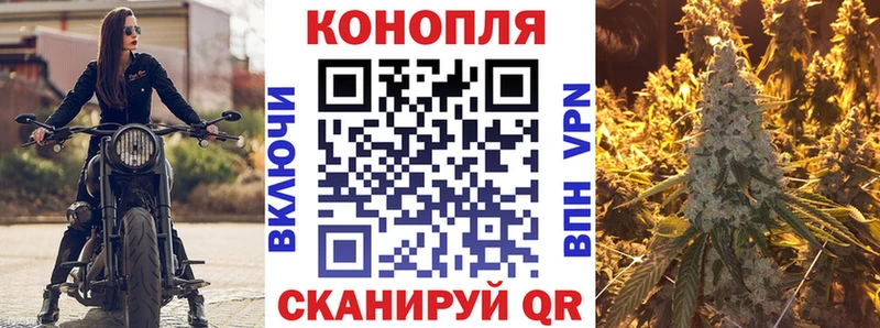 Канабис планчик  где купить наркотик  blacksprut ссылка  Полевской 